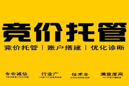 跨行业SEM广告投放的多样化案例分析